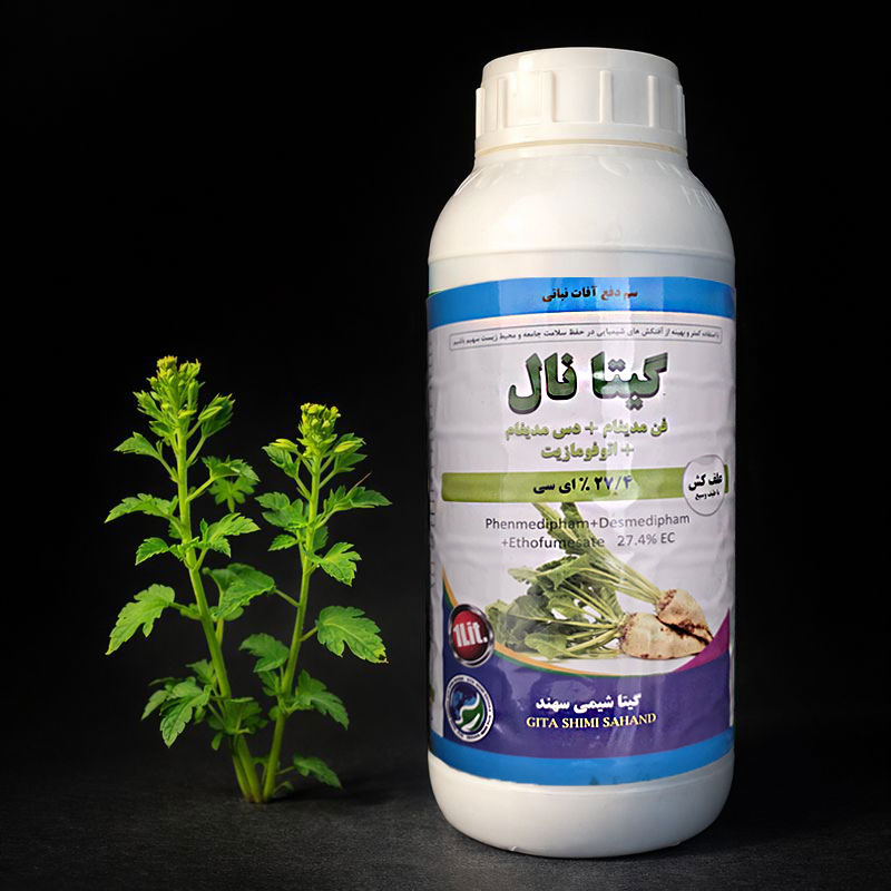 گیتا-نال