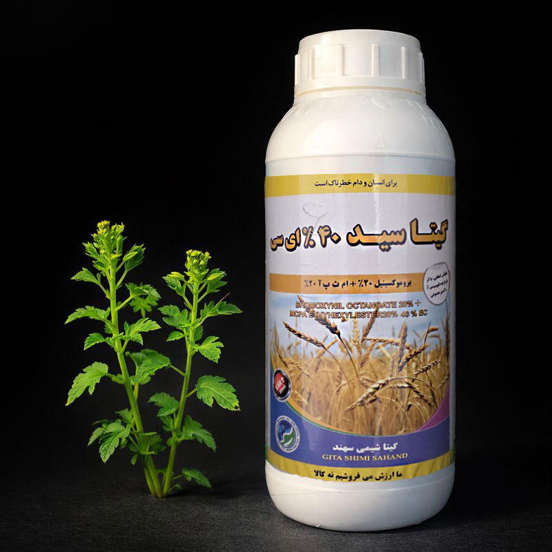 گیتاسید