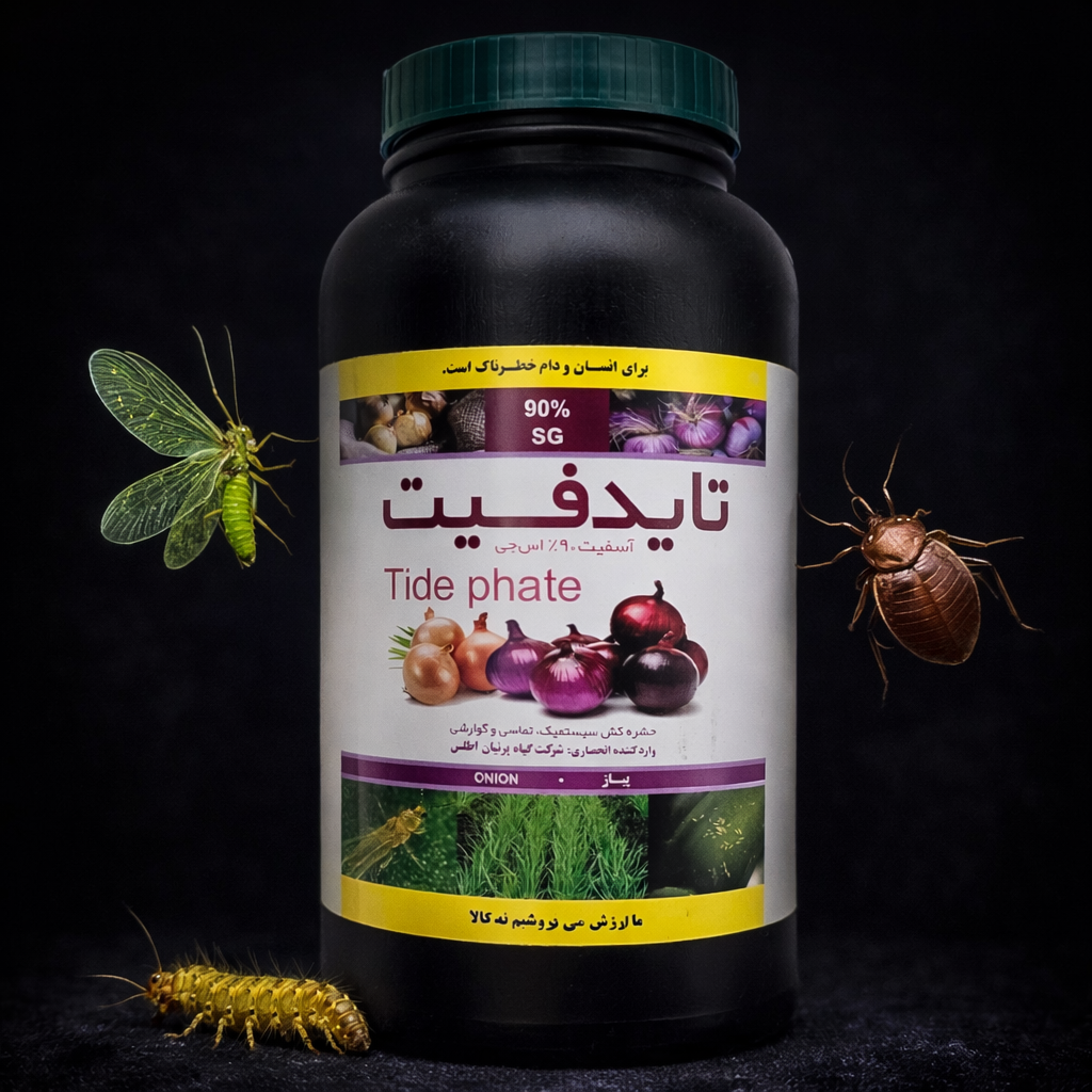 تایدفیت
