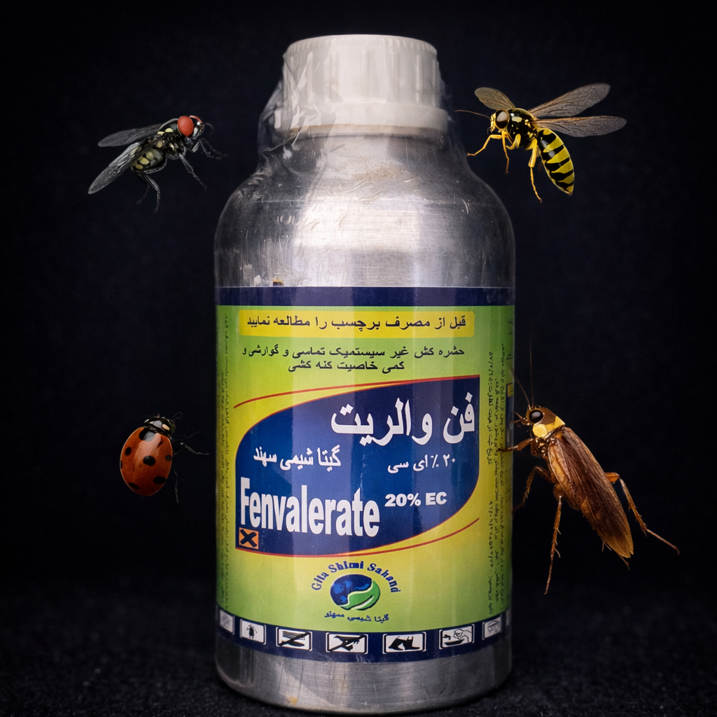 فن والریت